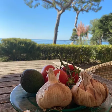 Villa Directly On The Sea Cannes