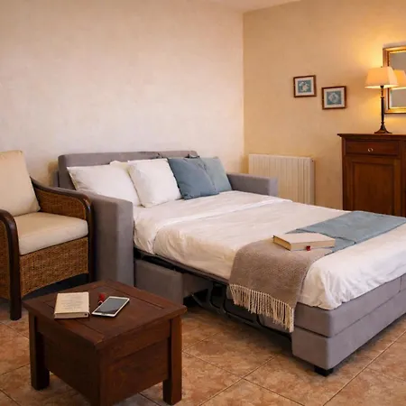 Beachfront I Garden - Terrace & Sea View -prime Location- Free Parking Villa Cannes